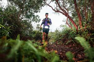 BIB: 
                            <button type="button" onclick="openModal(26209745)" class="btn btn-primary btn-sm float-right btn-popup" data-toggle="modal" data-target=".modal-high-quality">
                        <i class="fas fa-shopping-cart"></i> Add to Cart
                    </button>
                                            <button type="button" onclick="isThisMe(26209745, true)" class="btn btn-success btn-sm float-right btn-popup btn-isme hidden" data-toggle="tooltip" data-placement="bottom" title="นี่คือรูปของคุณใช่ไหม คลิกที่นี่เพื่อเอาเข้าอัลบั้ม">
                        <i class="fas fa-plus"></i> Add to album
                    </button>
                    <button type="button" onclick="isThisMe(26209745, false)" class="btn btn-warning btn-sm float-right btn-popup btn-isnotme hidden">
                        <i class="fas fa-ban"></i> Remove from album
                    </button>